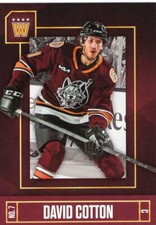 David Cotton 2021-22 Chicago Wolves
