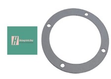 Viessmann Graphitdichtung Matrix-Brenner, Mirola, Vitodens 300 7810656 NEU