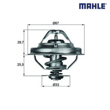Thermostat Land Rover 110