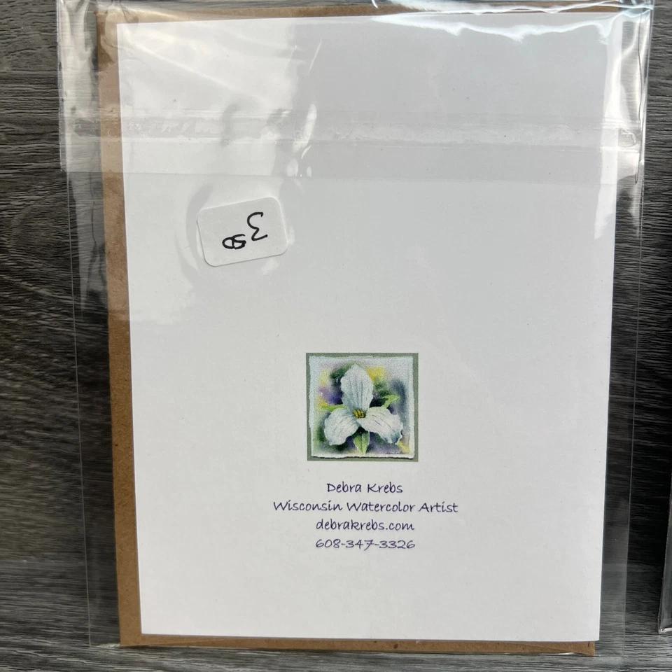 Lote de tarjetas de felicitación calabaza y flor de Debra Krebs Wisconsin acuarela artista Foto 3 de 4