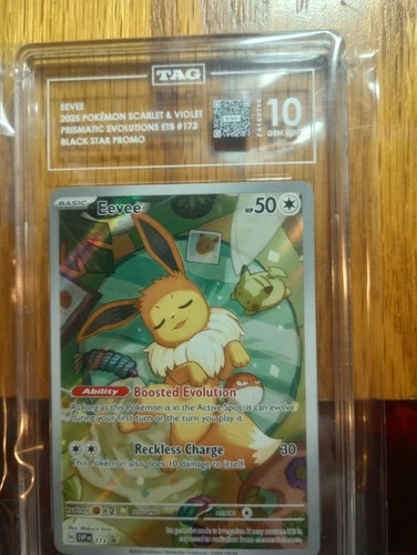 Pokémon Eevee 173 Scarlet & Violet Promo Holo TAG 10 English 2025