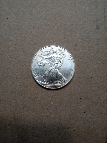 2014 American Eagle Silver Dollar 1oz  .999 Fine Silver Brilliant Uncirculated