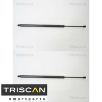 2X Gasfeder FüR Koffer-/Laderaum Triscan 871029263 DäMpfer GasdäMpfer