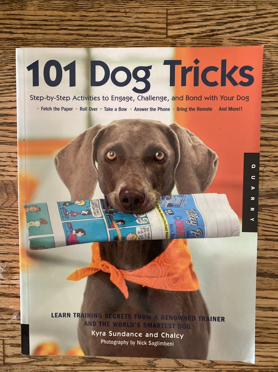 Dog Tricks and Training 101 Dog Tricks Step by Step Activities