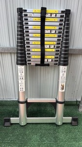 Telescopic 16-Step Aluminum Ladder Foldable Portable Silver Black 20 feet