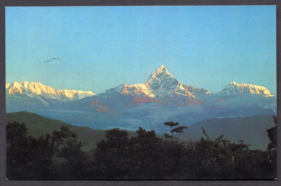 NEPAL CANADÁ 1981 EXPEDICIÓN DE INVIERNO KATMANDÚ P.C. FIRMADO Foto 2 de 2