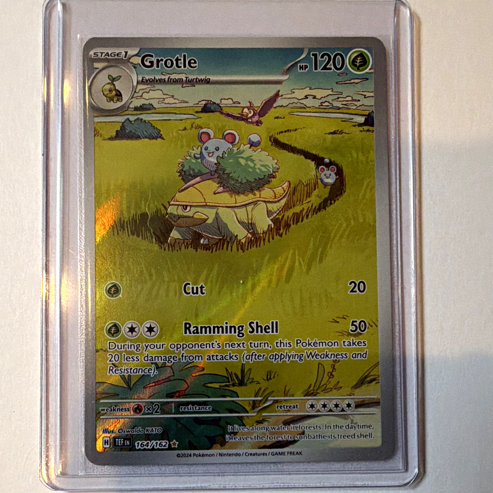 The Pokémon Company Grotle 164/162 SV05 Temporal Forces IR Holo EN