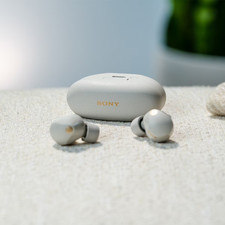 Sony - WF-1000XM5 True Wireless Noise Cancelling Earbuds - SILVER