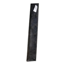Baguette de porte Renault SCENIC