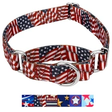 Country Brook Petz® Martingale Dog Collar - Americana Collection