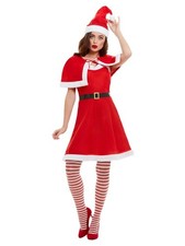 Adult Miss Santa Women Costume Womens Christmas Costumes