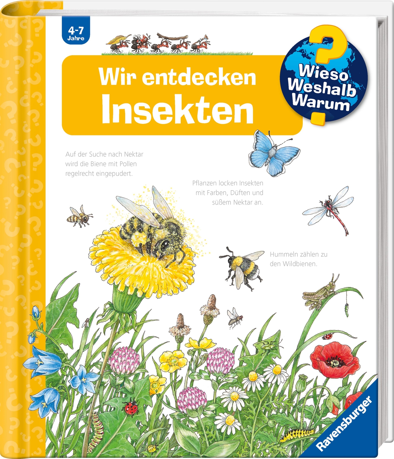 Thumbnail - Wieso? Weshalb? Warum?, Band 39: Wir Entdecken Insekten, Angela