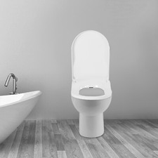 Non-Electric Bidet Toilet Seat, For Elongated Toilets, White, Dual Nozzle 