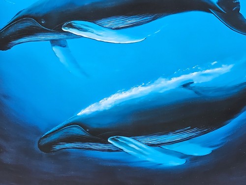 Wyland "A Sea of Life" Humpback whale family & calf HAND SIGNED #'d lithograph - Picture 6 of 7