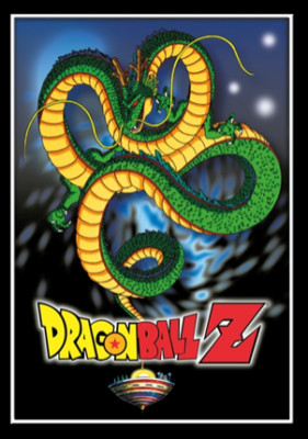 Limited DBZ Dragonball Z CCG TCG EARTH DRAGON BALL CAPTURE | eBay