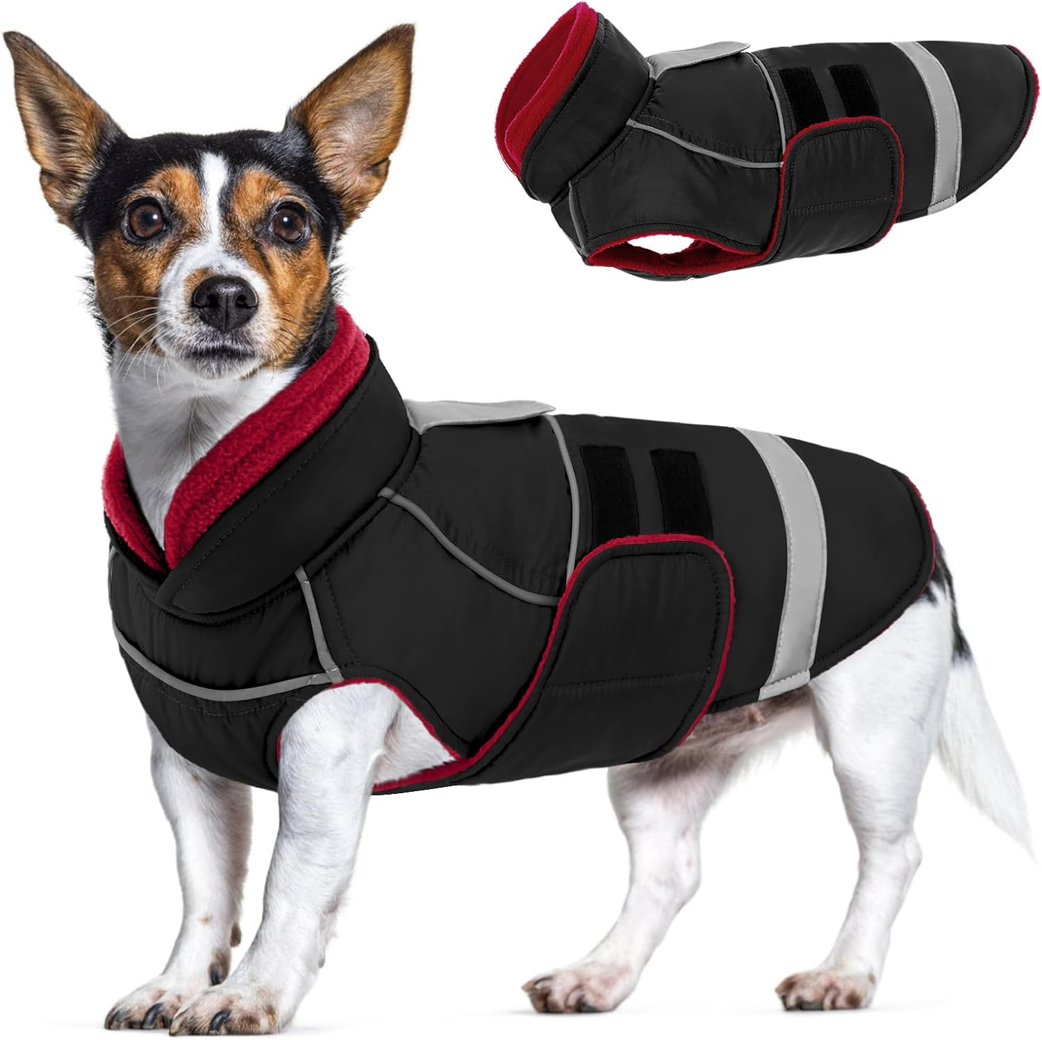Impermeabile Antivento Cane Riflettente: Giubbotto Invernale Professional