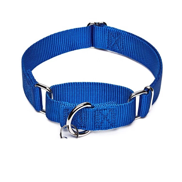 Collar Martingala Perro Grande Premium ~ Sin Estrangulamiento ~ S M L Nylon Sin Hebilla Entrenamiento Foto 3 de 4