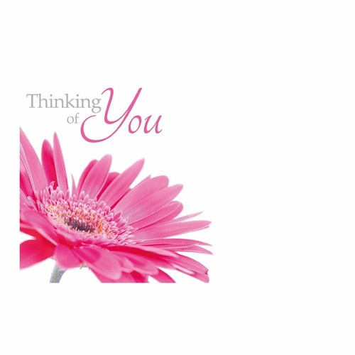 Pack of 50 Florist Funeral Sympathy Message Flower Cards - Choice of Design - Picture 2 of 18