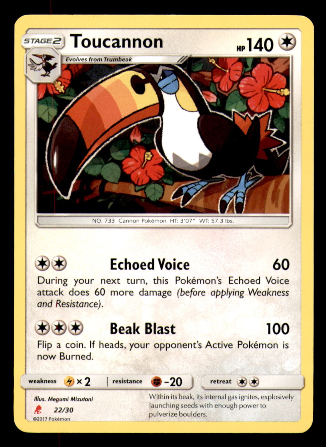 Toucannon 22/30 Uncommon SM Trainer Kit: Lycanroc & Alolan Raichu Pokemon LP