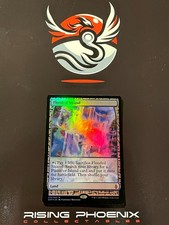 Rising Phoenix Mtg - Flooded Strand - Überschwemmter Strand - Zendikar Foil Ex #0115