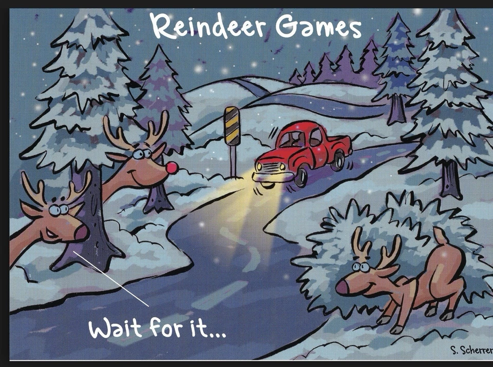 成人圣诞贺卡滑稽假日幽默卡,盒装 16 张卡 — 第 2/4 张图片