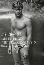 VINTAGE MALE PORTRAIT #1025-184- martin milner 1960 -free shipping in the usa