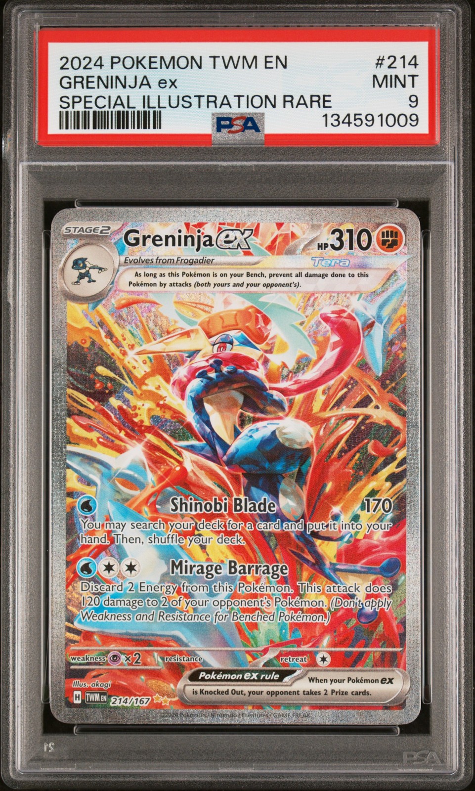 Greninja ex #214