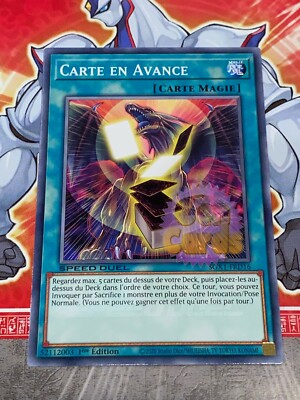 Yu Gi Oh Karte Vorlaufkarte SGX1-FRD16x2