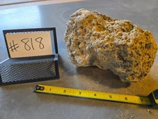 6" Medium Pumice Stone Floating Natural Rock Carnivorous Succulent Garden #818