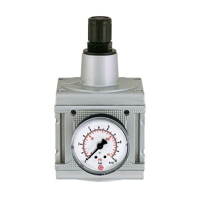 Riegler R 55-16, Pressure Regulator »multifix«, Size 5, G 1, 0.5-16 Bar, 100434