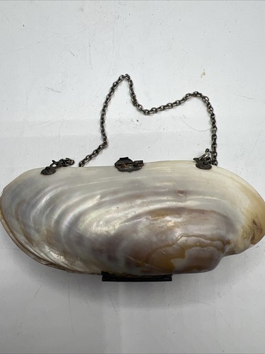 Antique Victorian Mother Of Pearl Clam Shell Small Coin Purse - Picture 10 of 16