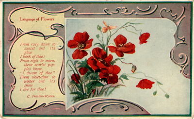 C. Preston-Wynne, Von Dringe, Mr Willie Wehmueller, Hermann Postcard