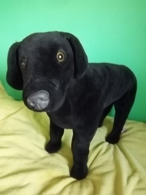 melissa and doug black lab