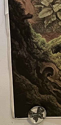 Unicorn Poster 27 X 40 - Picture 3 of 12