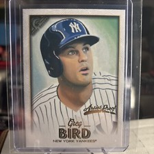 2018 Topps Gallery Greg Bird RARE NY Yankees Artist Proof Variation ⭐️ MINT