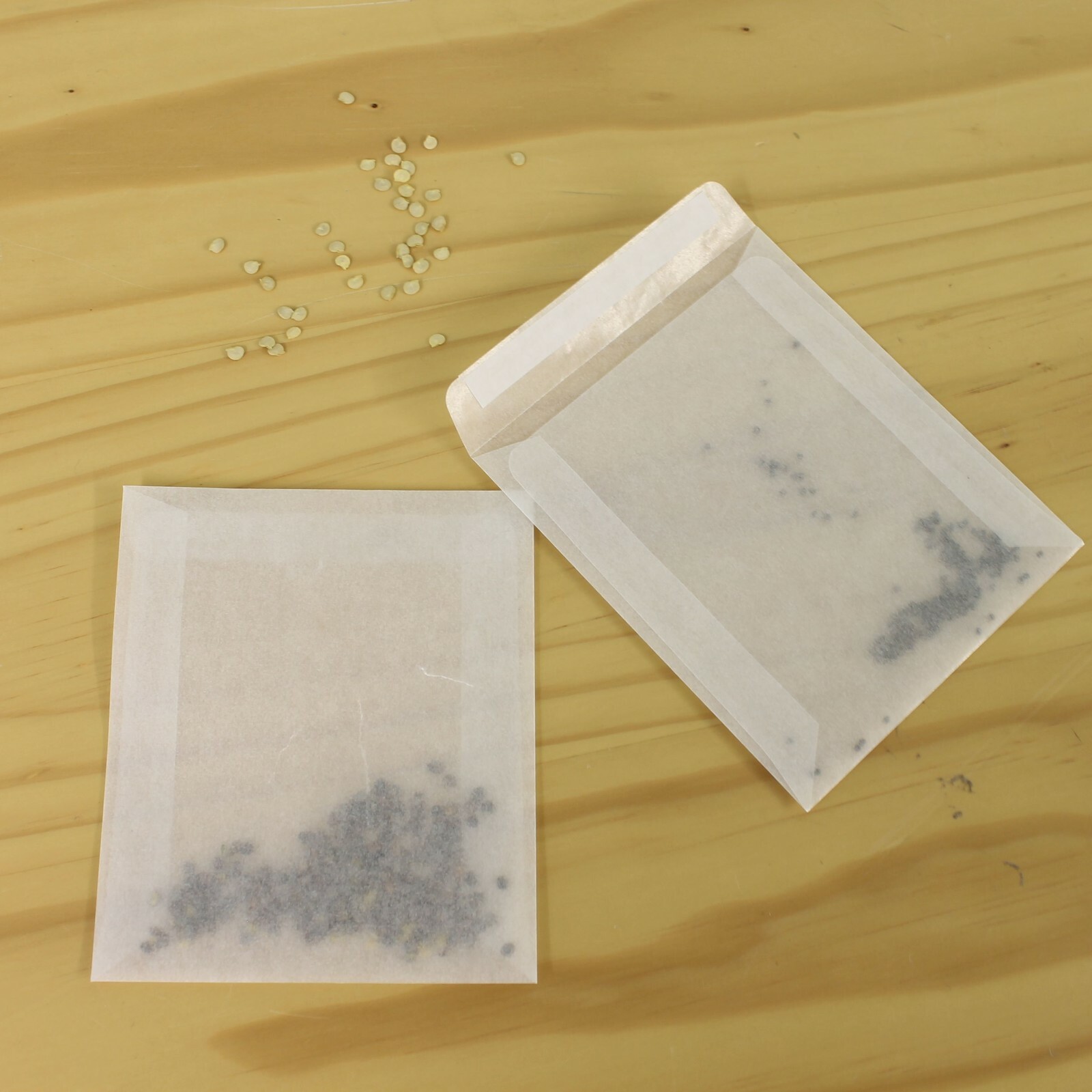 20 Glassine Seed Storage Envelopes For Storing Harvested Seeds Safely