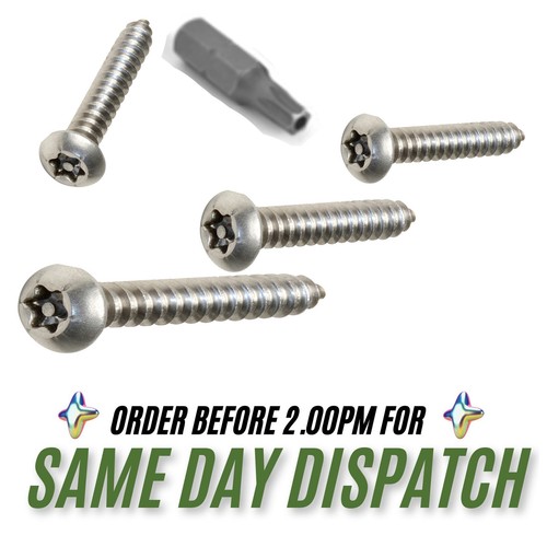 Knopfkopf selbstschneidende Sicherheit Holzschrauben A2 Edelstahl Torx Pin 6 Lappen - Bild 3 von 6