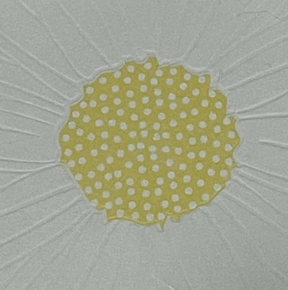 (60) Posavasos Martha Stewart Celebrate Flor Margarita Nuevo Fiesta Ducha Nupcial Bebé Foto 3 de 4