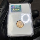 Foto 5 di 5