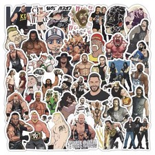 Wrestling WWE Themed Set of 50 Assorted Stickers Decal Set