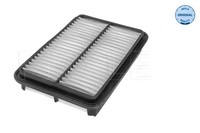 Meyle Luftfilter 37-12 321 0011 Filtereinsatz FüR Kia Hyundai Mg Magentis FÉ Sm