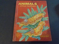 Animal Without Backbones by Robert Pfadt 1st Edition 1st Print 1967 HC ID:93064