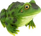 Bild 7 von 11