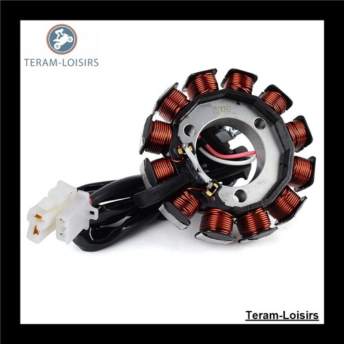 Stator Allumage pour Yamaha MWD 300 Tricity à partir de 2020 | eBay