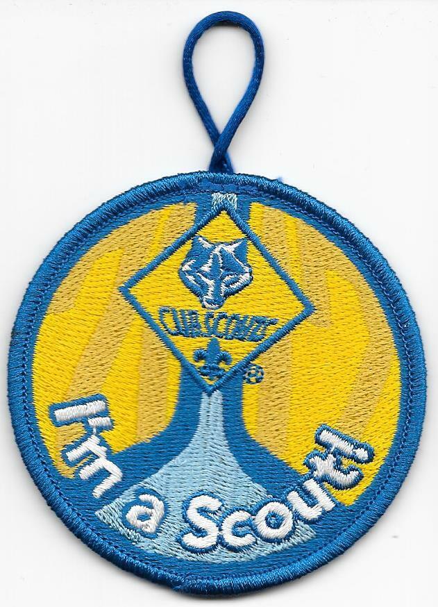 The Ultimate Guide to Boy Scouts of America Patches and What They Mean