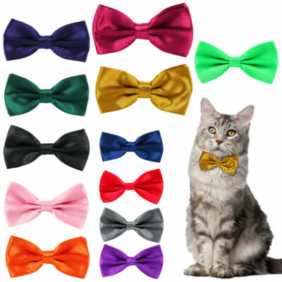 Katze Fliege verstellbar vorgebunden Dickie Haustier Halsband Tier Hals Katze Nylon