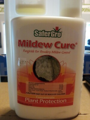 SaferGro Mildew Cure 32 oz. Concentrate - Plant Protection Spray need to dilute 