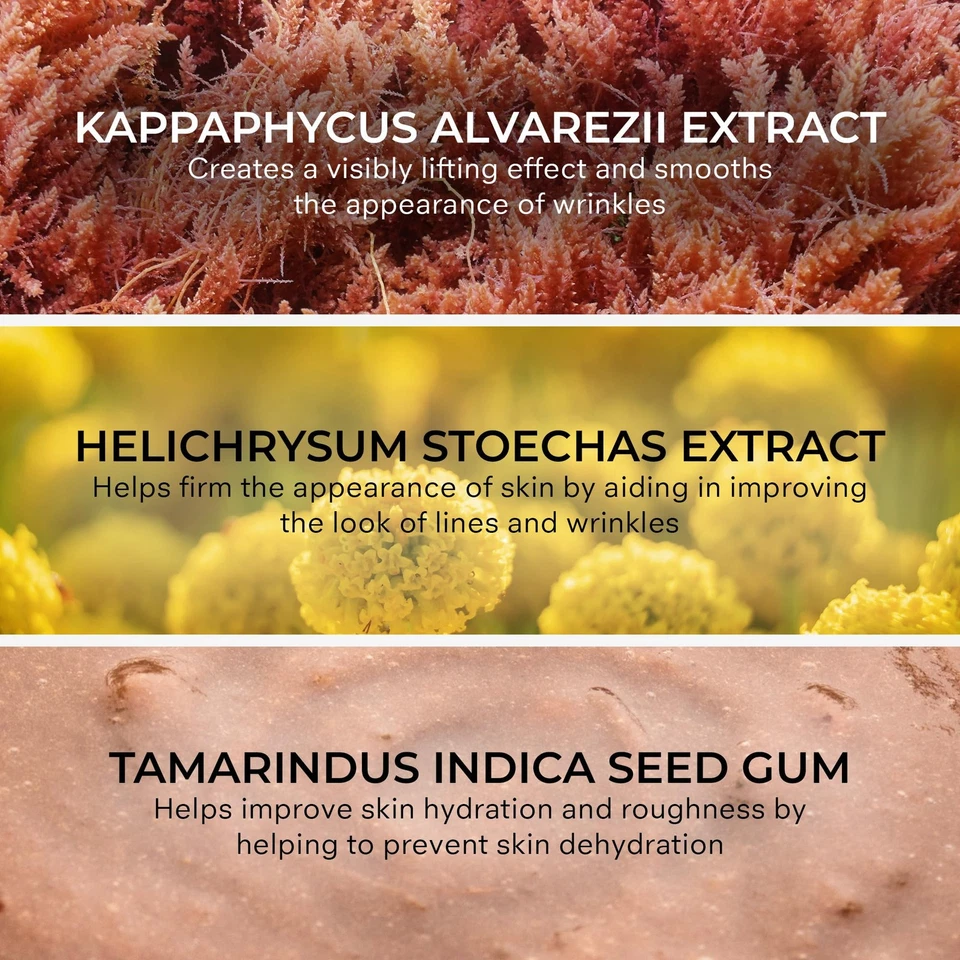 Crema hidratante facial humidificadora para mujer - hidratante, hidratante profunda, reafirmante,... Foto 3 de 4