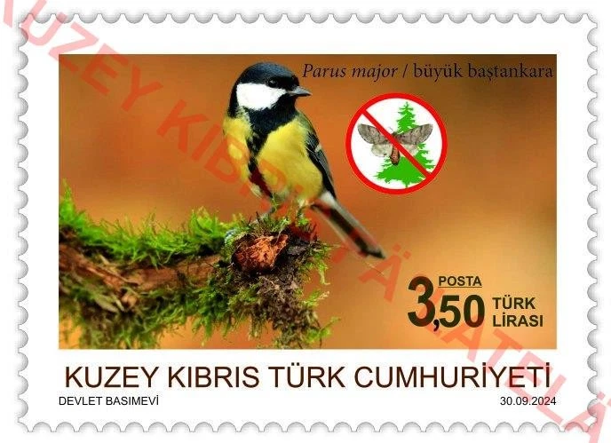 Estampillas de aves e insectos del norte de Turquía de Chipre de 2024 MNH Foto 2 de 4