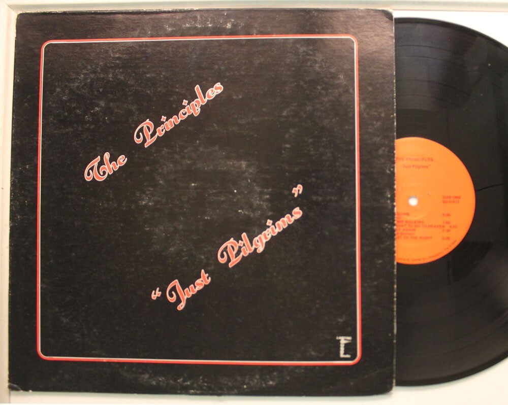 The Principles Lp Just Pilgrims On Lasting Sounds - Vg+ To Vg++ / Vg+ ...